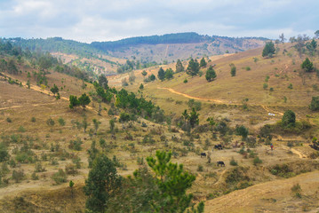 Fototapeta na wymiar Hilly landscape in Madagascar