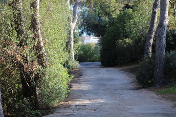 camino