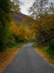 Otoño La RIoja