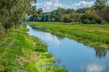 Fototapeta na wymiar Einserkanal near Bridge at Andau