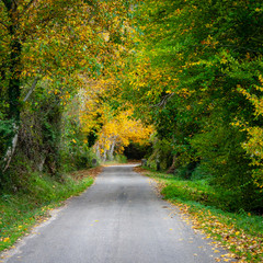 Otoño La RIoja