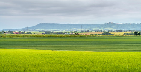 Fototapeta na wymiar rural scenery in Hohenlohe
