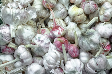 Garlic on the counter in the store