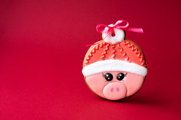 gingerbread cookie of cute pink pig on red background. Traditional Christmas food. Christmas and New Year holiday concept. Copyspace