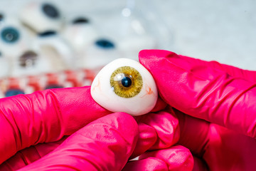 Ophthalmologist or surgeon holds an eye, eyeball prosthesis in hands. Concept photo for ocular...