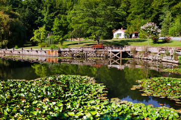 Fototapeta na wymiar pond in the park and shed