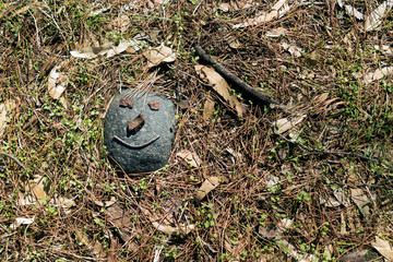 Stone with smiling face on pine forest floor   