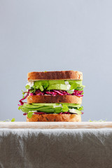 vegetarian  sandwich with vegetables - 300014838