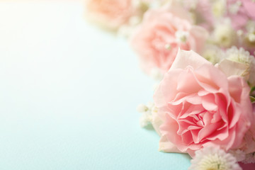 Beautiful flowers on color background, closeup