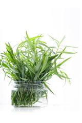 tarragon recipes and medicinal properties of this herb