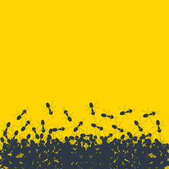 Silhouette of chaotic running ants on yellow background. Crawling insects colony backdrop poster. Teamwork and cooperation concept.  Vector cartoon illustration.