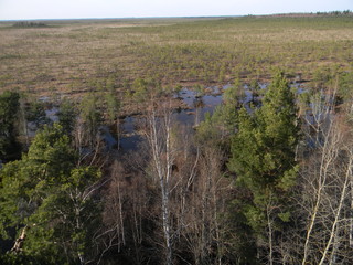 swamp, springlandscape, nature, mountain, sky, tree, hill, grass, green, autumn, forest, trees, hills, panorama, mountains, view, field, blue, clouds, countryside, summer, meadow, scenery, river, r,  