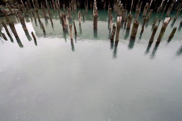 Piers in the water 