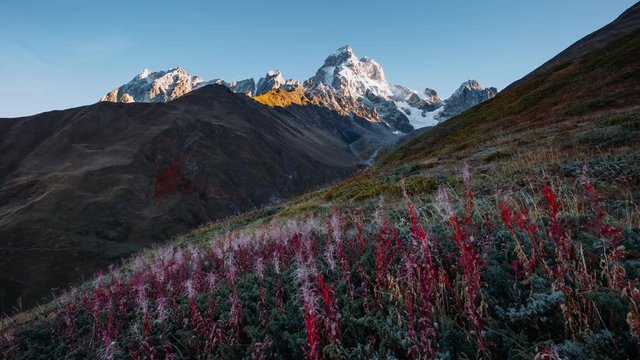 Fantastic view at the foot of Mt. Ushba. Location place Svaneti, Georgia, Europe.