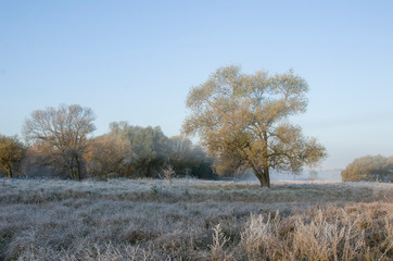 White frost on the grass, the first frost and fog over the lake.