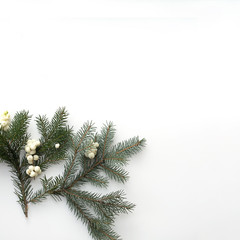 Christmas composition. Pine branch with white berries on a square light background.