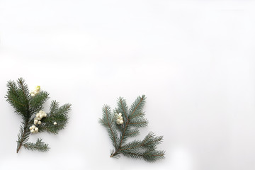 Christmas composition. Pine branch with white berries on a light background.