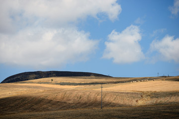 Fototapeta premium landscape at countryside sicily, italy