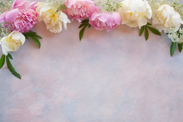 Decorative background with pink in white peonies, space for text, greetings.