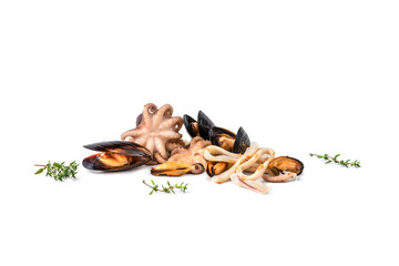 Food composition, close-up grilled octopus baby, mussels and squid rings with rosemary and black pepper isolated on white background