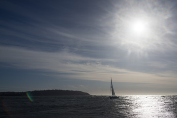 Fototapeta premium Sailing