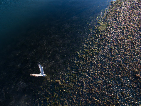 Flight