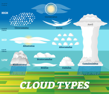 Cloud types vector illustration. Labeled air scheme with altitude division.