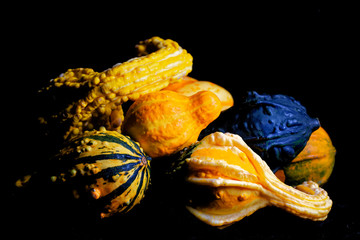 ornamental gourds on a black background