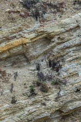 Zuma Beach Mountain Close Up