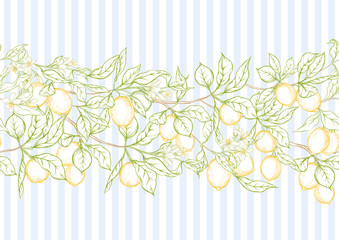 Lemon tree branch with lemons, flowers and leaves. Seamless pattern, background. Outline colored hand drawing vector illustration in soft colors on blue stripes background..