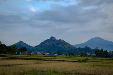 Obraz premium Beautiful landscape view of rice fields under the sky with mountain background