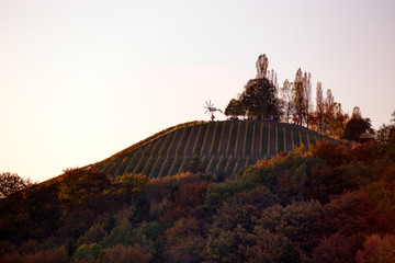 Klapotetz upon a wineyard hill - 300033226