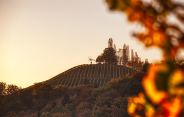 Klapotetz upon a wineyard hill - 300033268