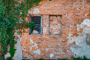 Downtown urban brick wall covered in vines 