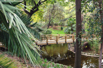 wooden bridge in a tropical landscape with a river and palm trees