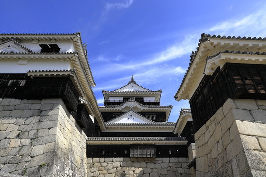 90 Best 伊予松山城 Images Stock Photos Vectors Adobe Stock 90 Best 伊予松山城 Images Stock Photos Vectors Adobe Stock
