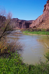 Colorado River - Moab