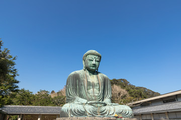 (神奈川県ｰ風景)高徳院の鎌倉大仏１