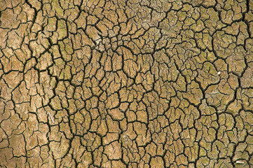 The Ponsul River is a affluent of the Tejo River, in Portugal, and is a very large river. At this time it is completely dry, without water and with its bed cracked due to climate change