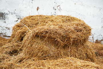 Big pile of dry hay on a farm