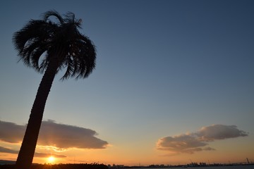 Fototapeta na wymiar 港からの日の出