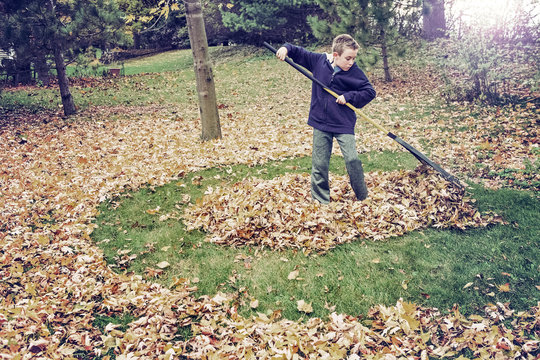 Boy raking leaves in a yard doing chores
