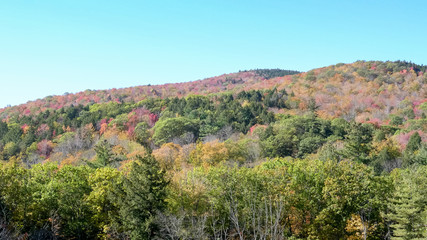 a hillside in newbury new hampshire covered with fall foliage