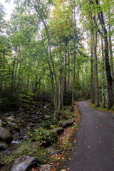 Great Smoky Mountains National Park