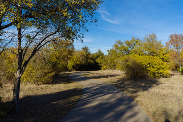 Concrete path and trees in the rays of the setting sun in a city park on a November evening.