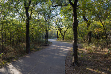 Concrete path and trees in the rays of the setting sun in a city park on a November evening.