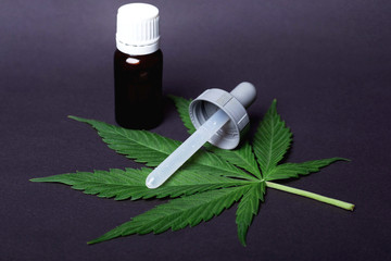 cannabis plant medical oil containing THC and CBD for the treatment of epilepsy and therapy for...