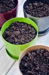 Home herb garden. Pots with fresh soil prepared for planting seeds.
