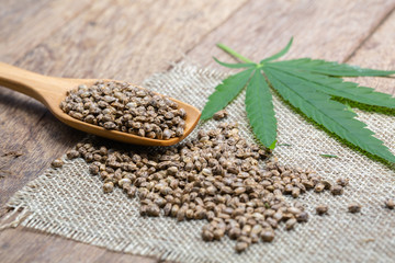  Hemp seeds in wooden spoon and Cannabis leaves on brown wooden table. medical marijuana concept, CBD cannabis OIL.
