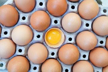 Orange-yellow eggs that are packed in cardboard or boxes for transportation. 